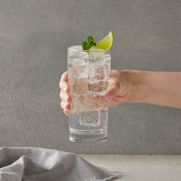 DaVinci Gourmet Classic Cane Sugar Syrup, 25.4 Fluid Ounces (Pack of 1)