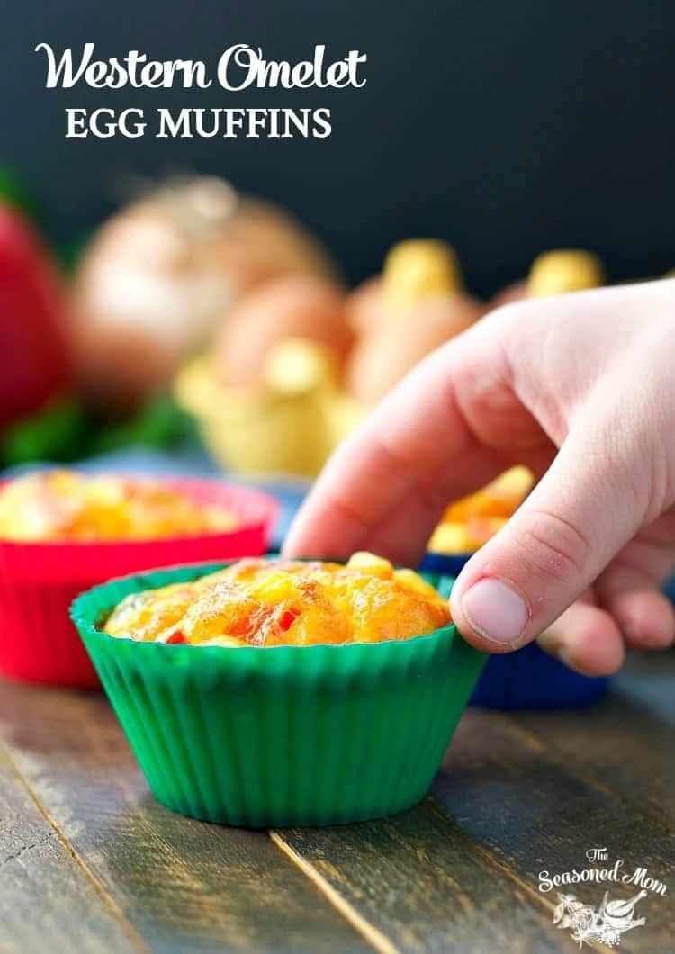Silicone Lunch Box Dividers, 46 Pcs Bento Bundle Lunch Box Kit for Kids Lunch Accessories, BPA Free, Dishwasher Safe