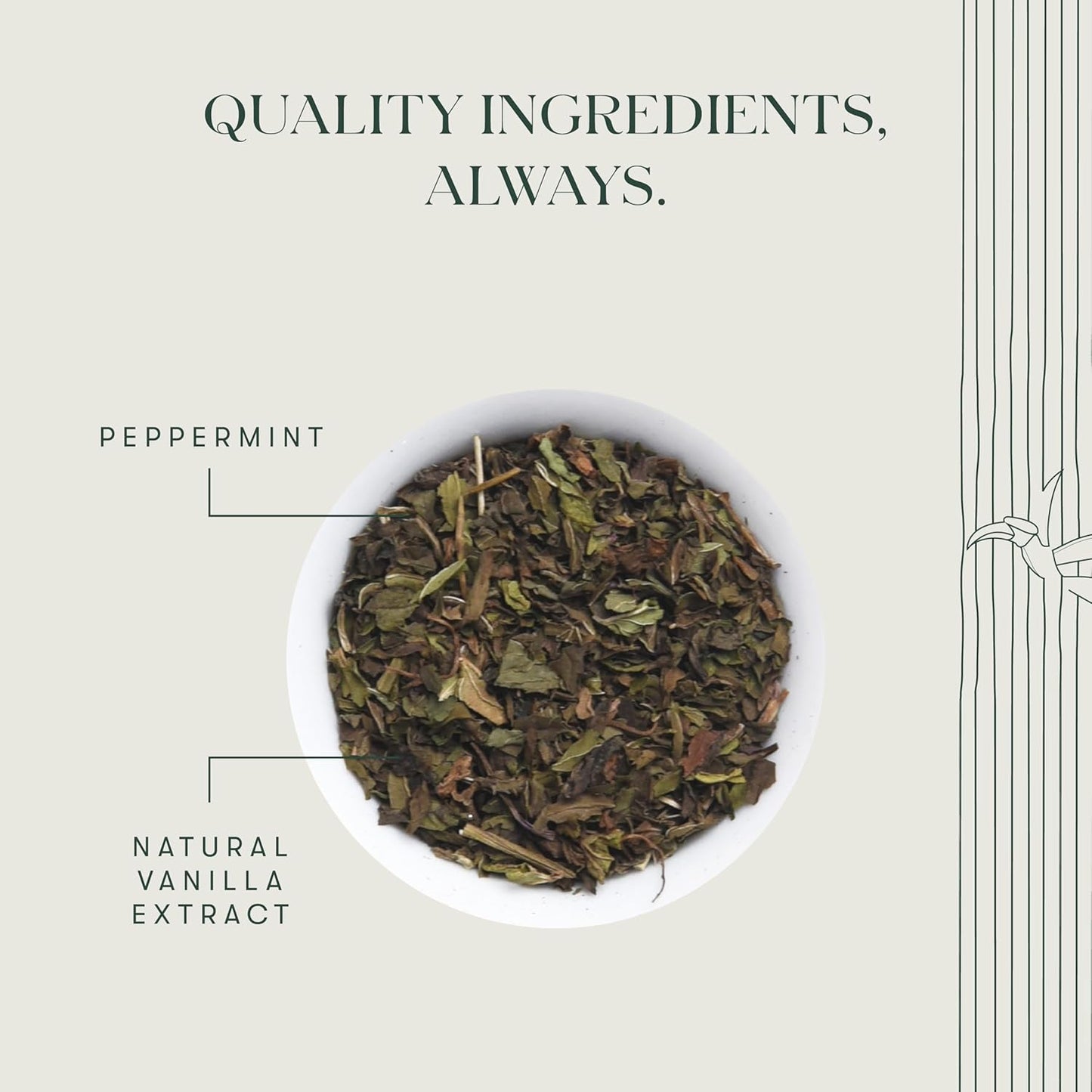 Luxmi Estates Vanilla Peppermint Organic Peppermint Tea (50 Tea Bags) Caffeine Free Tea Bags For Relaxing, Calming, and Stress Relief, With Certified Organic Herbal Tea