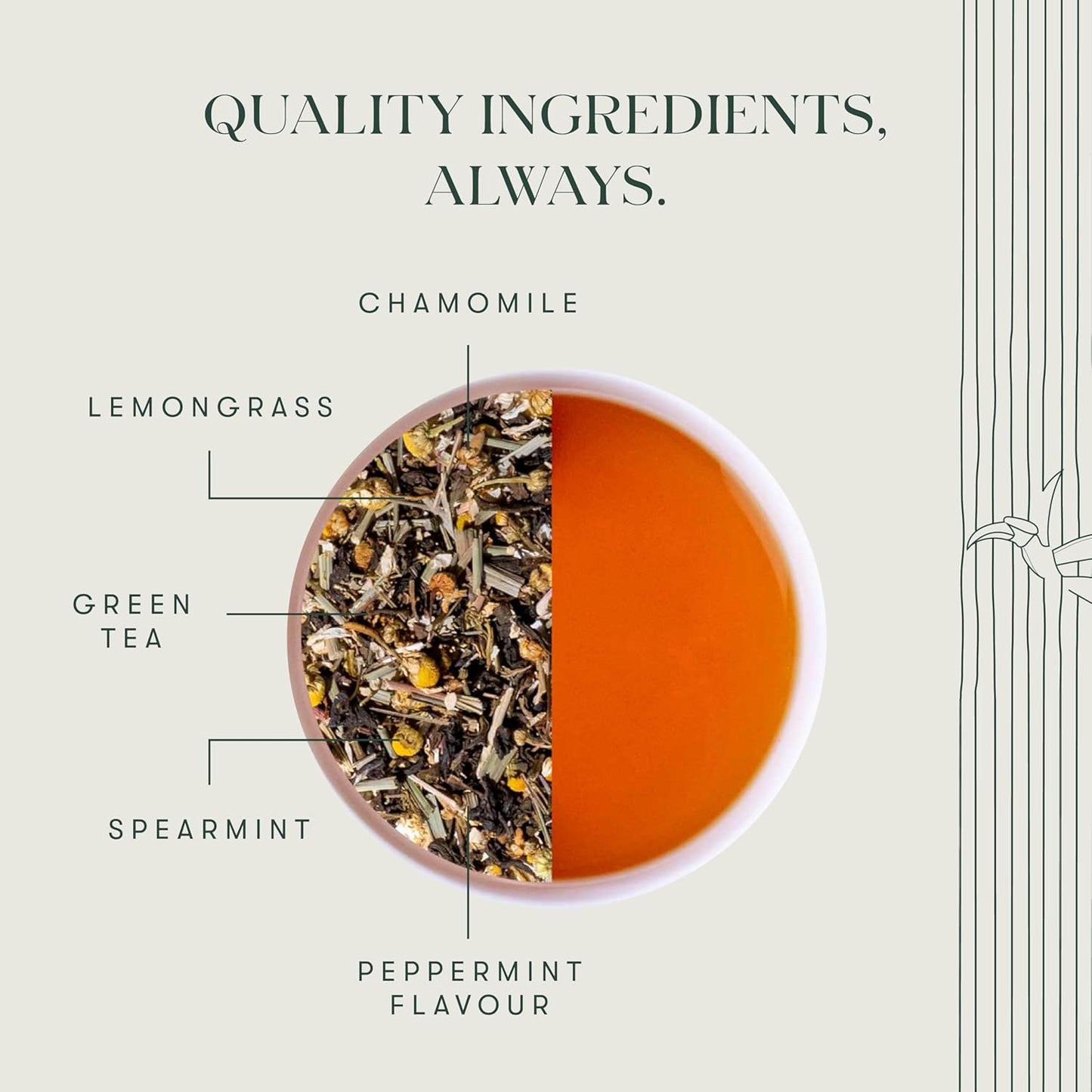 Luxmi Estates Minty Mile Organic Chamomile Mint Green Tea (25 Tea Bags) Low Caffeine Tea Bags For Relaxing, Calming, and Stress Relief, With Certified Organic Darjeeling Makaibari Green Tea