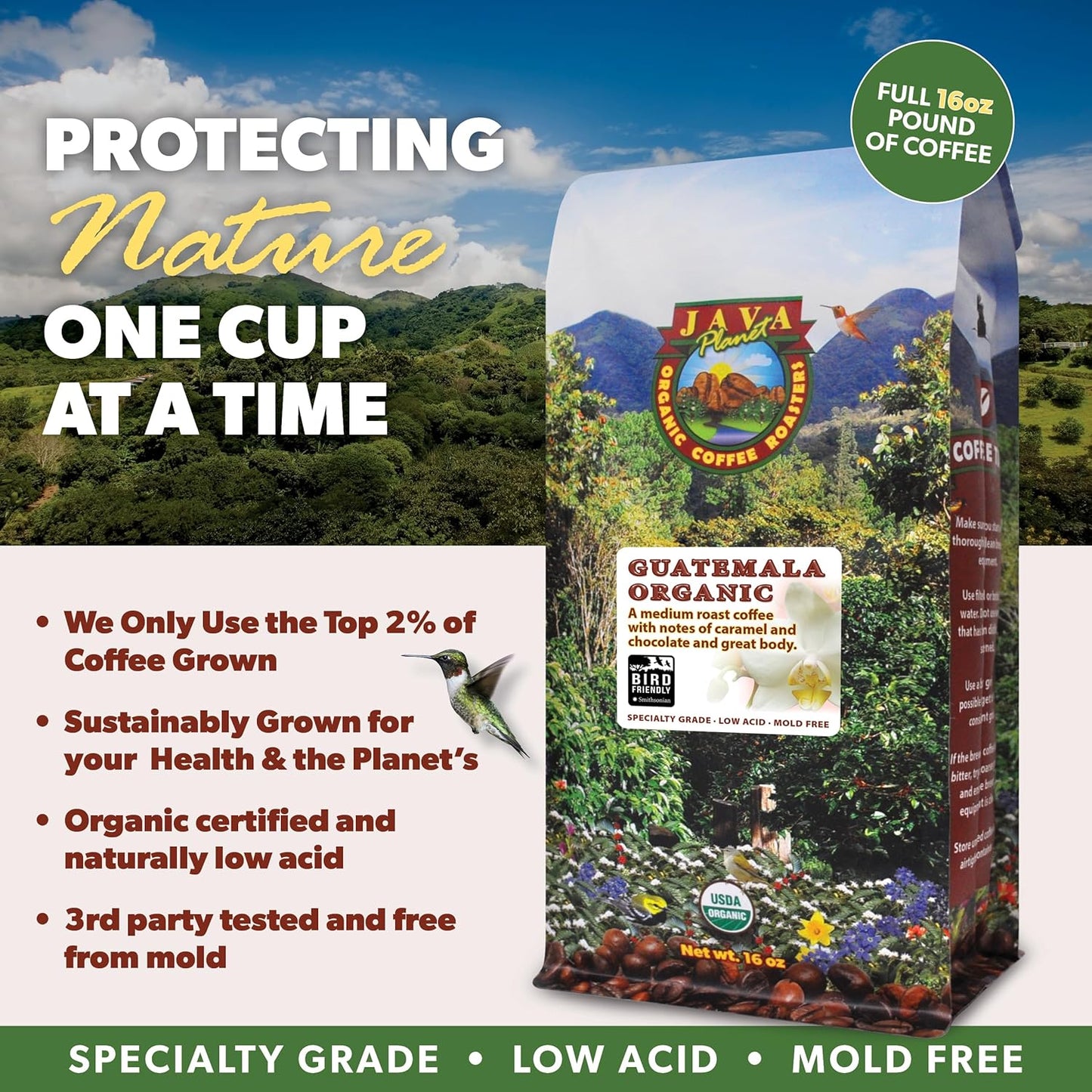Low Acid Organic Coffee – Whole Bean, Mold-Free & Stomach Friendly by Java Planet, Guatemalan Single Origin Coffee, Medium Roast, Smooth Full Flavored, 2x1LB Bag