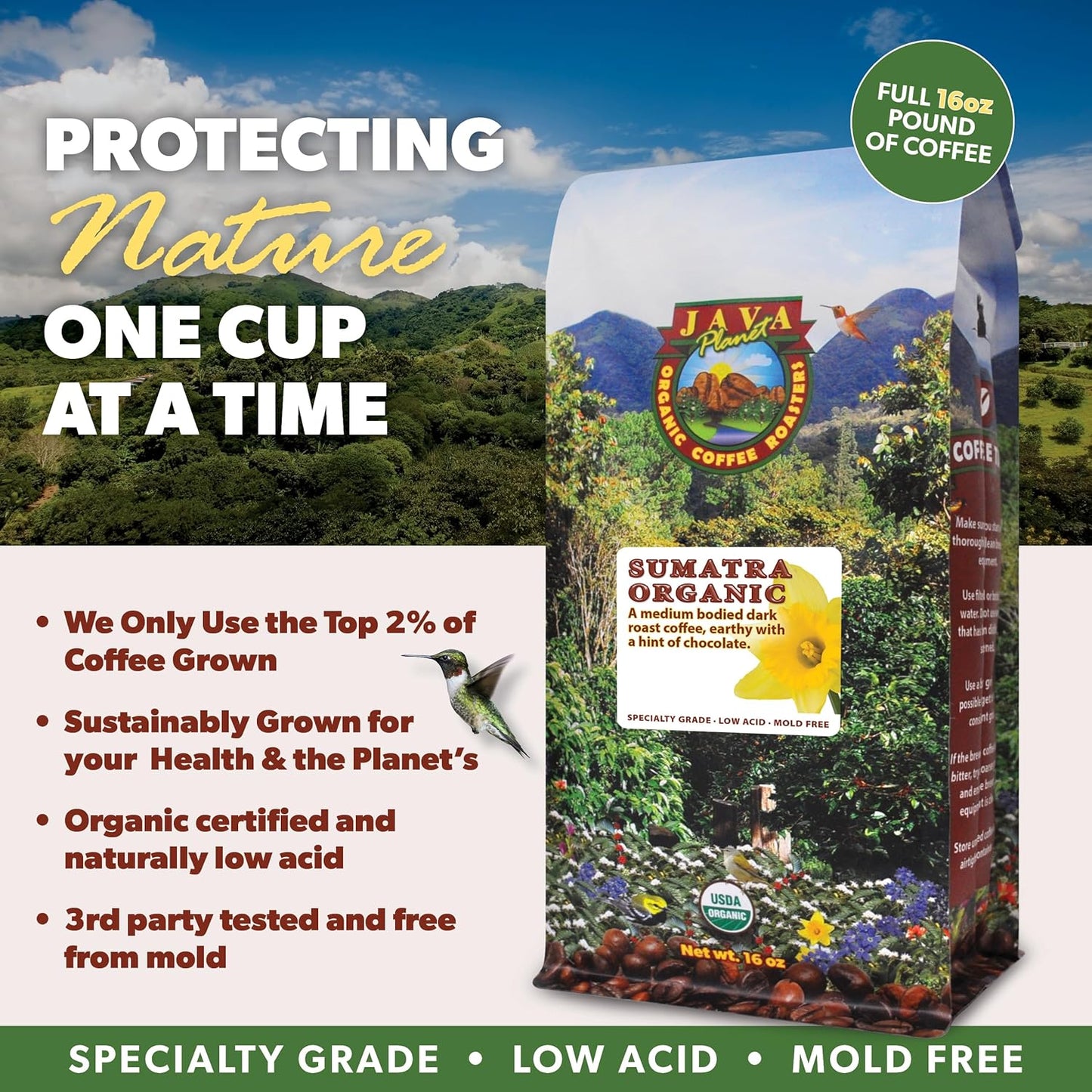 Low Acid Organic Coffee – Whole Bean, Mold-Free & Stomach Friendly by Java Planet, Sumatran Single Origin Coffee, Dark Roast, Smooth Full Flavored, 2x1LB Bag