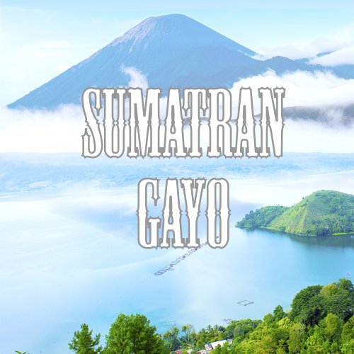 Sumatran Gayo Coffee, Ground, Low Acid, Fair Trade, Fresh Roasted, 16-ounce