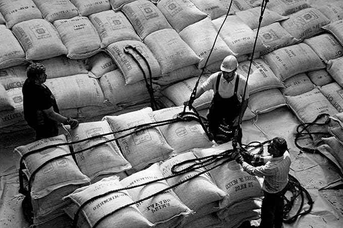 Bristot 100% Brasile Espresso Capsules – Balanced Taste Profile – Compatible with Lavazza Blue Machines – 50 Count*