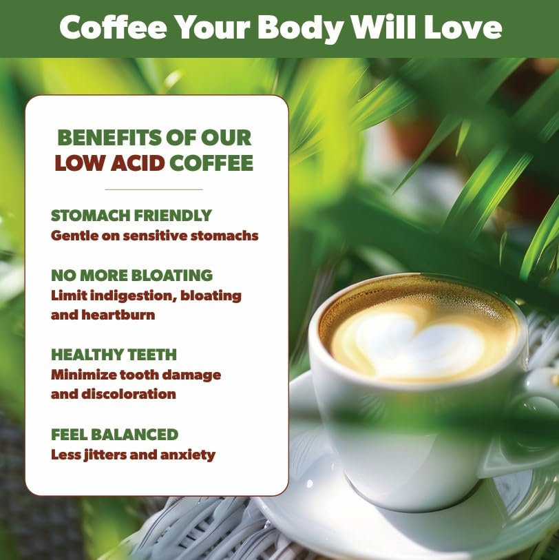 Low Acid Organic Coffee – Whole Bean, Mold-Free & Stomach Friendly by Java Planet, Black Magic Blend Coffee, Medium Dark Roast, Smooth Full Flavored, 1LB Bag