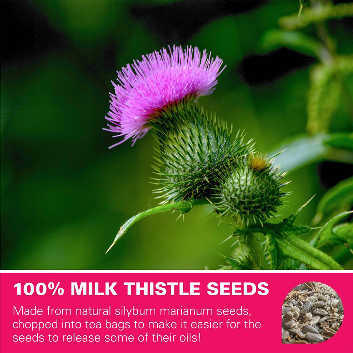 WT WEETEE Milk Thistle Tea Bags, Made with 100% Pure Milk Thistle Seeds, Natural Caffeine-free Herbal Tea Detox Tea 3g x 60 Counts