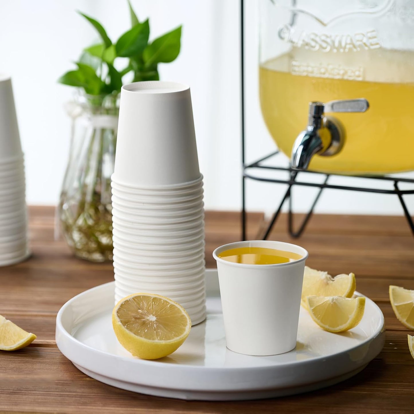 LITOPAK 300 Count 6 oz Paper Cups, Disposable White Paper Coffee Cups, Hot Beverage Drinking Cup for Coffee, Water, Juice, and Espresso