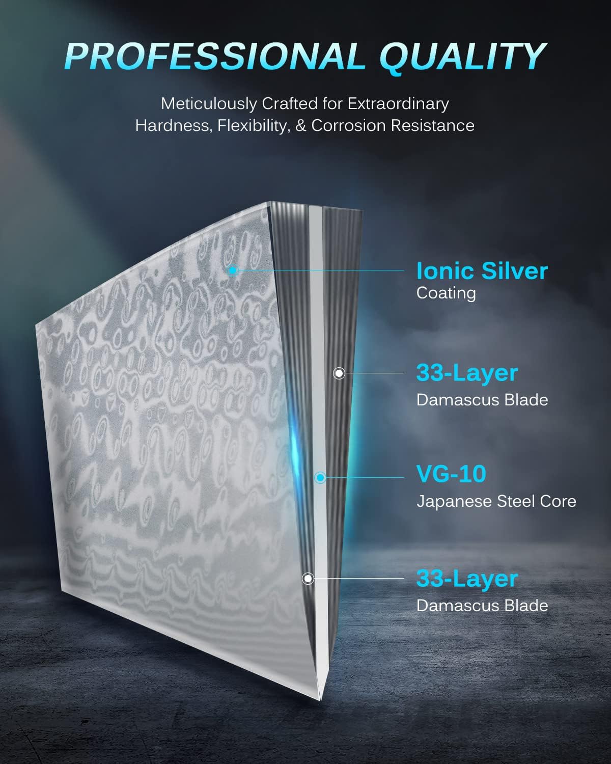 KYOKU Gin Series 12" Brisket Slicing Knife, Meat Carving Knife with Silver PVD Coating Mosaic Pin Handle for Professional Chef & Home Cook, Japanese VG10 Steel Slicer for Meat Fruit Vegetables