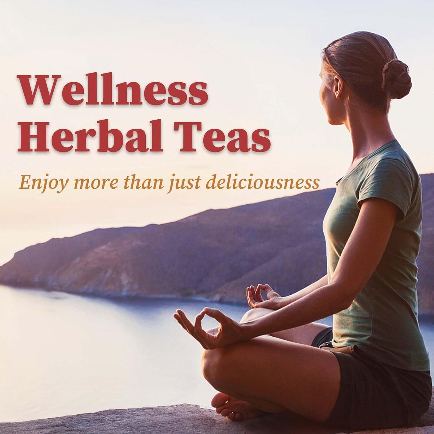 FullChea - Rose Hips Tea Bags, 50 Teabags Rosehip Tea, 3g/bag - Premium Rose Hips - Non-GMO - Caffeine-free - Support Digestion & Boost Immunity