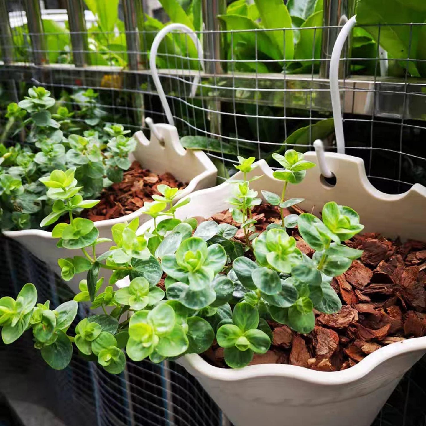 4 Pack Large S Hooks for Hanging Heavy Duty, 6 inch Non Slip Vinyl Coated Metal Closet S Hooks for Hanging Kitchen Utensil Pot Pan Cups Clothes Jeans Towels Hats Bags Plants (White)