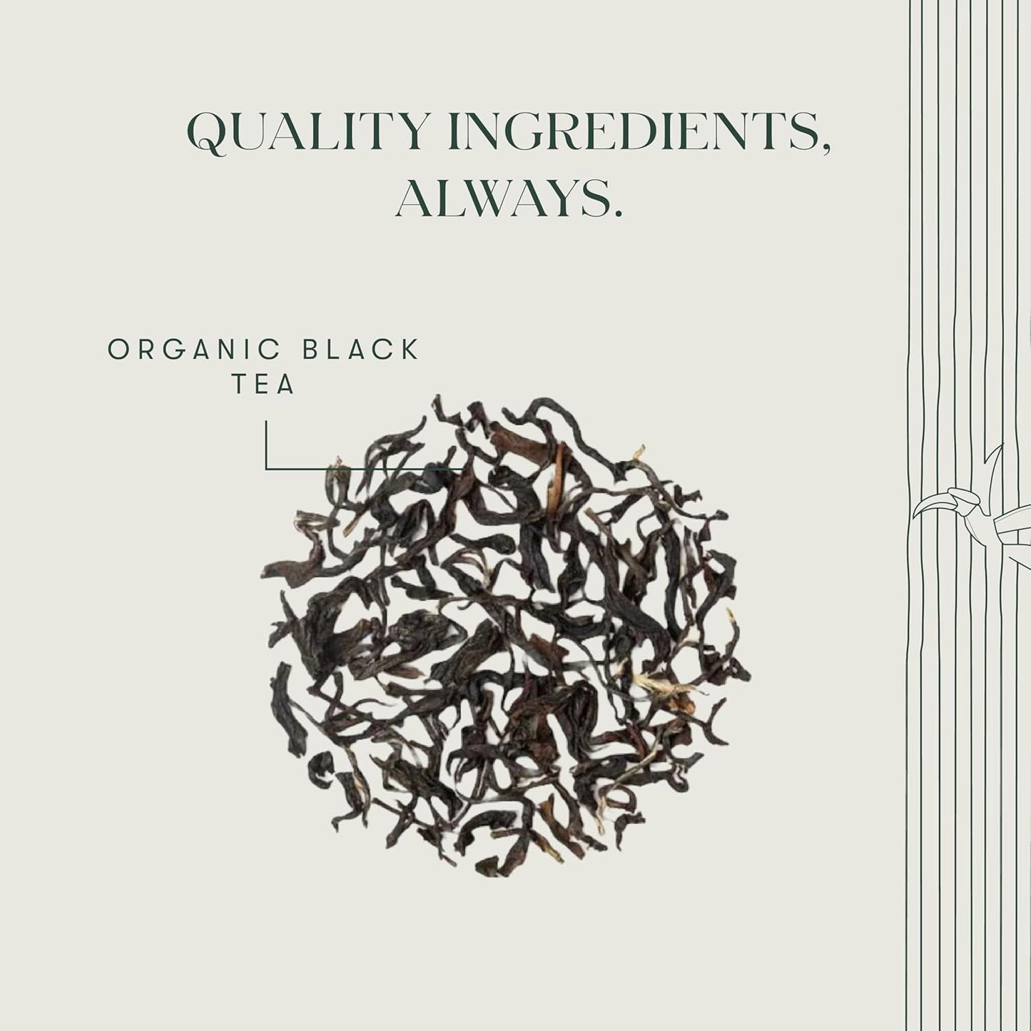 Luxmi Estates - Queen of the Hills - Organic Black Tea - Loose Leaf - 100g (50 Cups) | Freshly Harvested Organic Makaibari Darjeeling Tea | Best Natural Flavor Tea The World Has To Offer