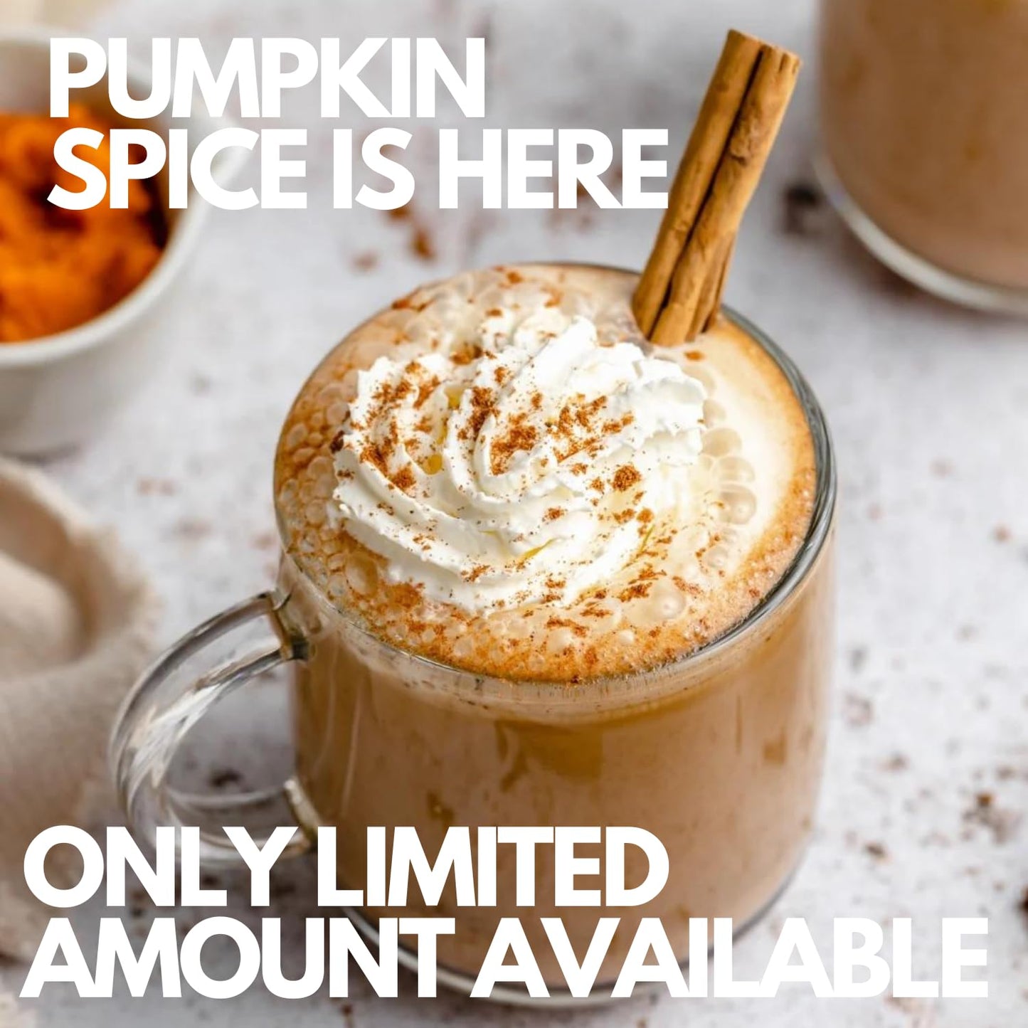 Sarasota Coffee Ground Packets | Gourmet Flavored Medium Roast Bulk Coffee Packs | Pumpkin Spice | Low Acid Mold Free Singles Individual Pouches for 12 Cup Coffee Maker | 2 Ounce Bags, 36 Count