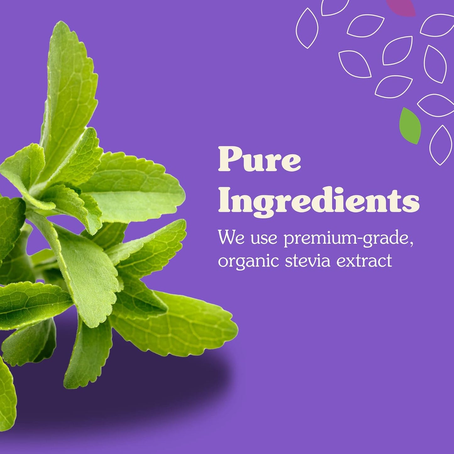 NuNaturals Stevia Syrup, Sugar-Free Sweetener, Plant-Based Sugar Substitute, Zero Calorie, Pumpkin Spice, 16 oz