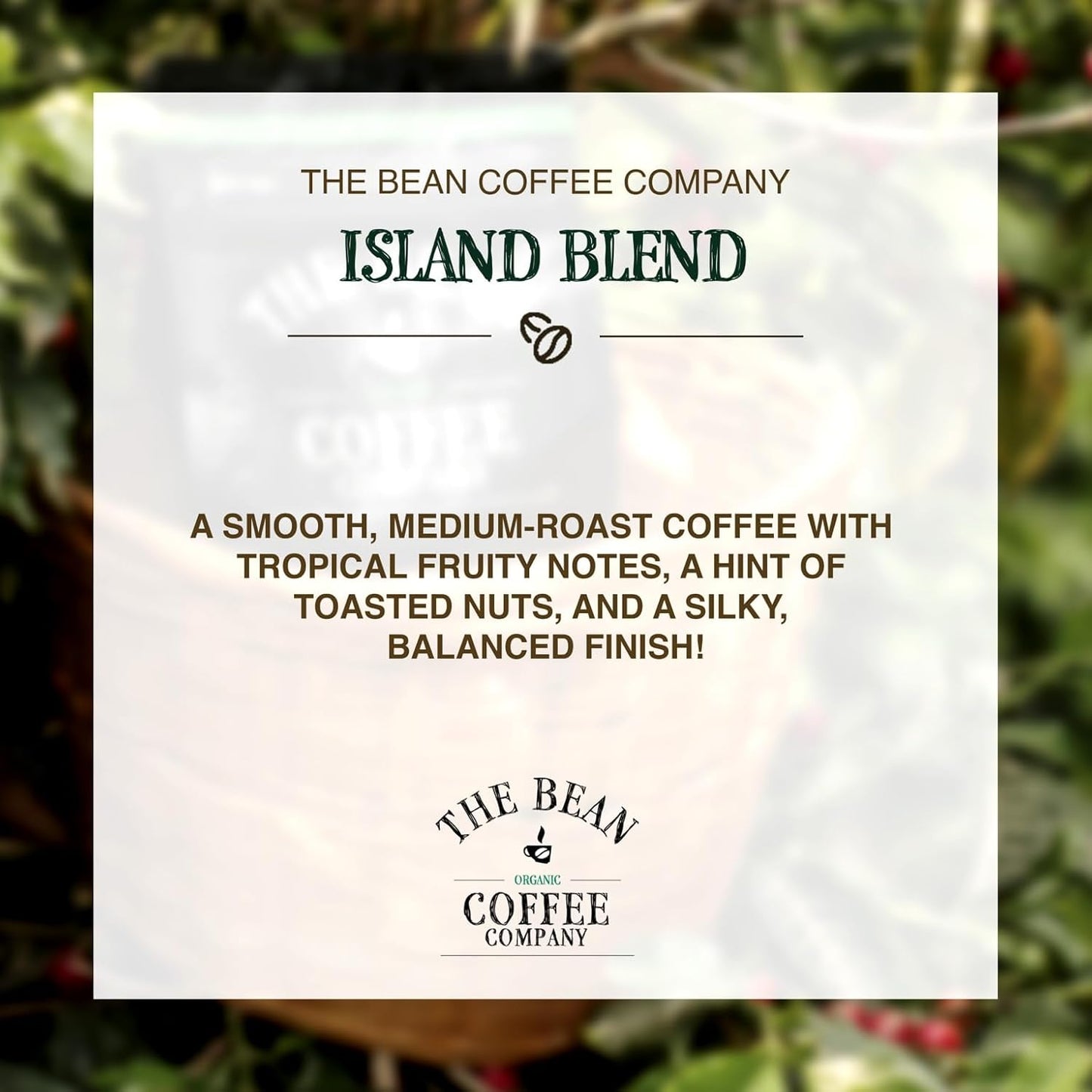The Bean Organic Coffee Company Island Blend, Medium Roast, Ground Coffee, 16-Ounce Bags (Pack of 2), Café molido tostado orgánico
