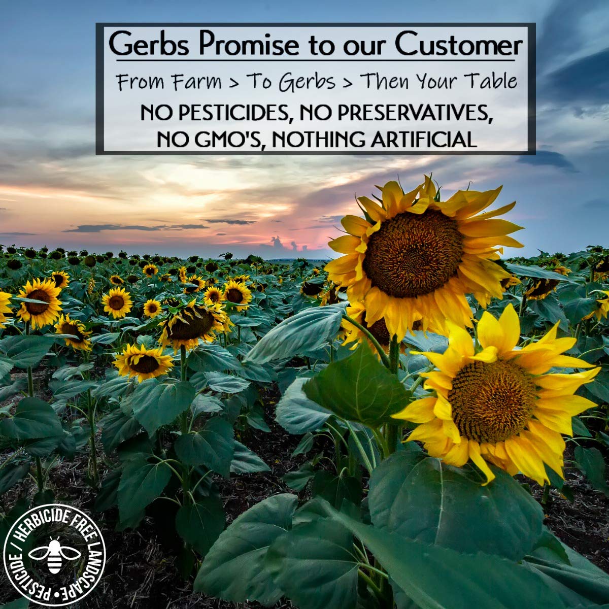 Ground Sunflower Seed Meal, 1 LB By Gerbs - Top 14 Food Allergy Free & NON GMO - Vegan & Keto Safe – Cold Milled Full Oil Seed Protein Powder