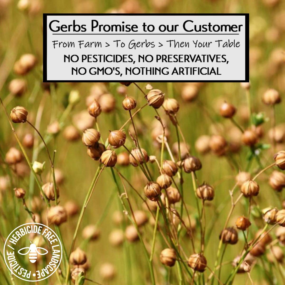 Ground Raw Flax Seed Meal by Gerbs - 4 LBS - Top 11 Food Allergen Free & Non GMO - Vegan & Kosher – Premium Full Oil Content Flax Protein Powder