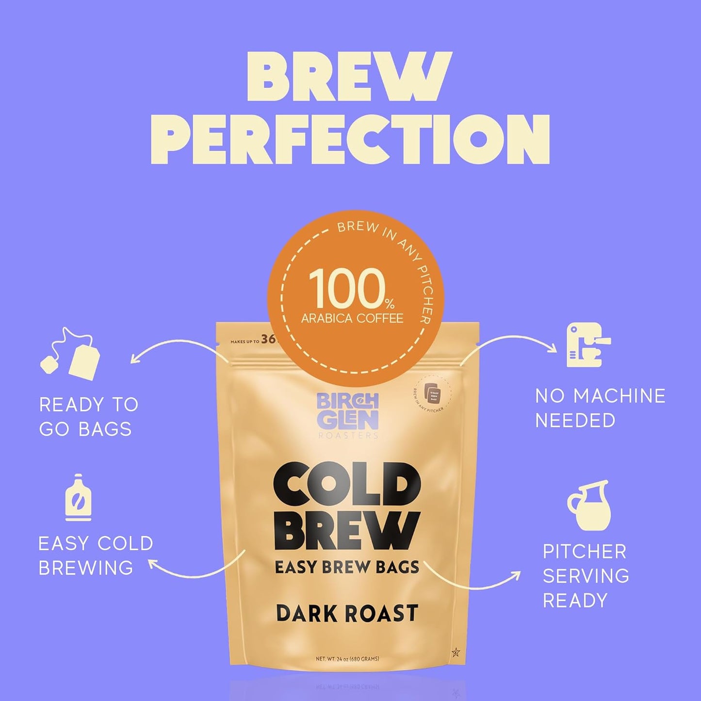 Birch Glen Roasters Cold Brew Coffee Bags - 12 Pack of Coarse Ground Coffee Filter Pitcher Packs for Easy Brewing - 100% Arabica - Yields 6 Pitchers - Medium Roast