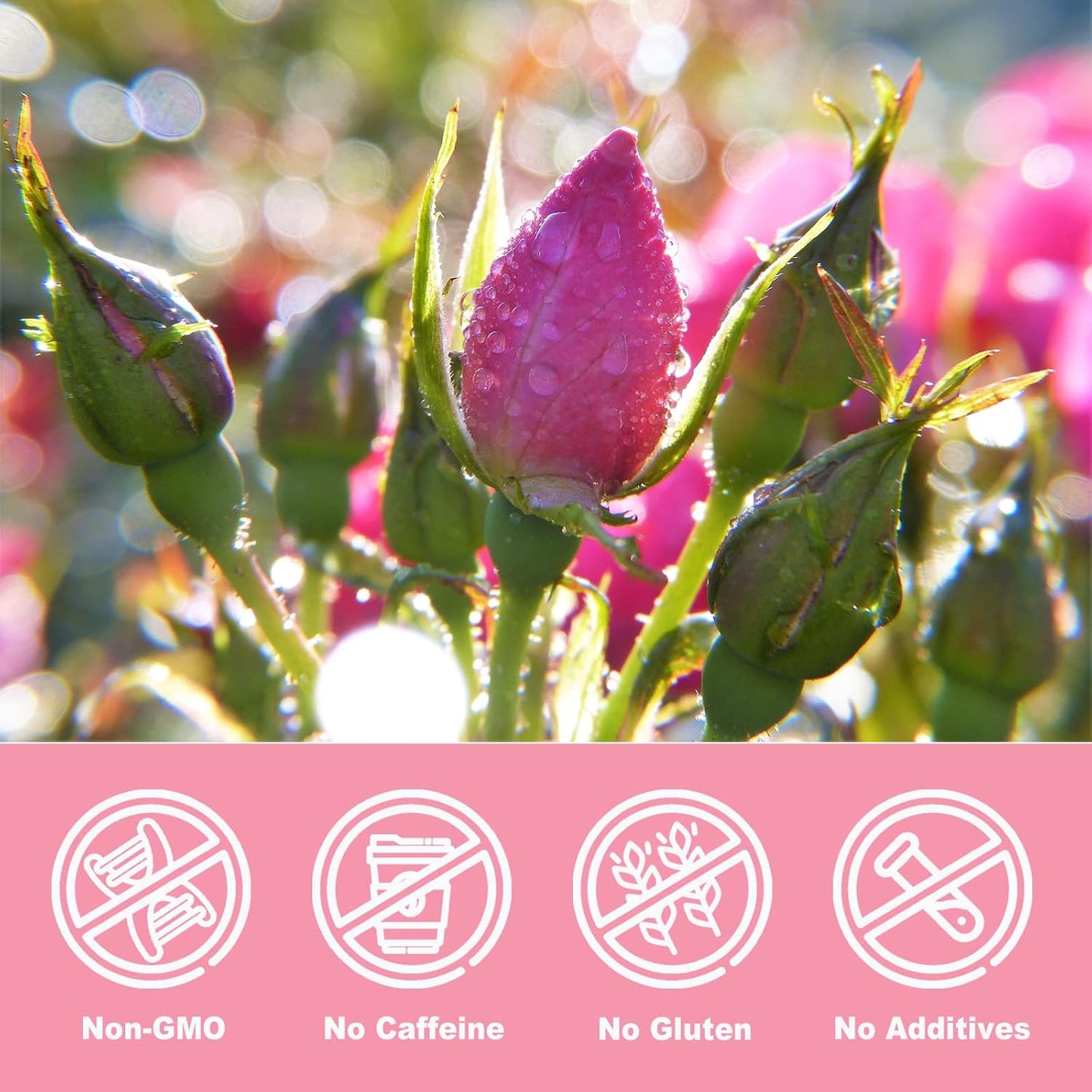 Olvvla - Dried Rose Bud For Fragrant Herbal Tea - 3.52oz/100g - Delicate Sweet and Refreshing - Natural Pink Rosebud Flower for Tisane, Decorative Desserts