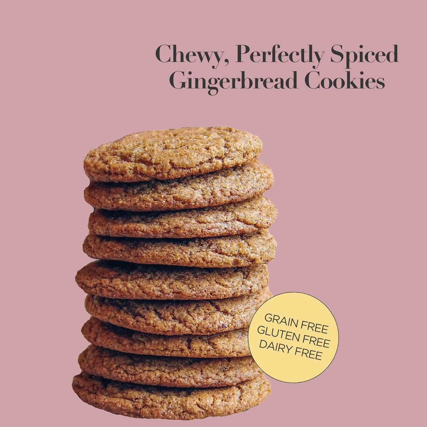 Stellar Eats Grain-Free Gingerbread Cookie Baking Mix | Gluten-Free, Dairy-Free, Plant-Based, Paleo-Friendly | Sweetened with Coconut Sugar | Almond Flour-Based | Non-GMO, Kosher | 8.5 oz | 1 Pack