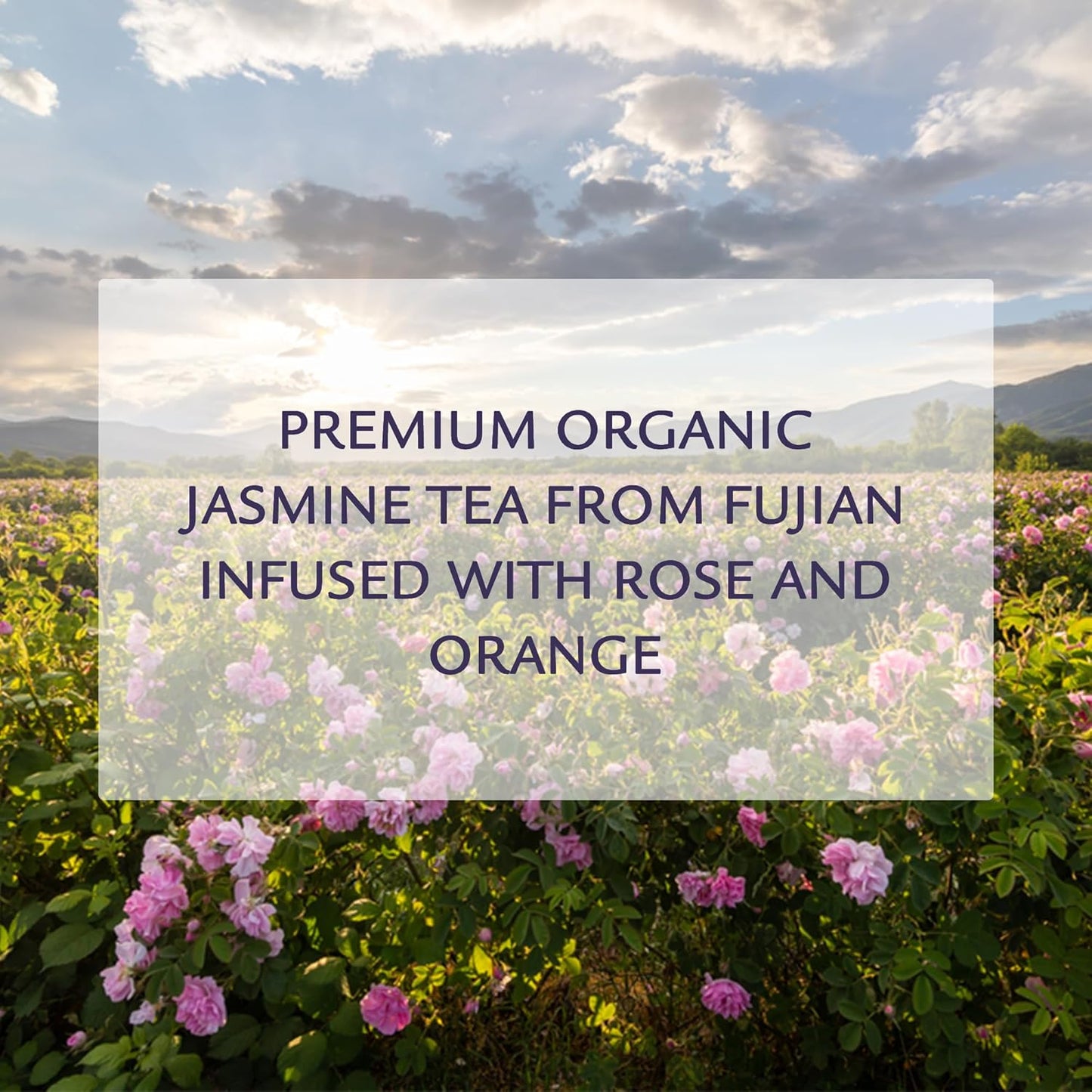 Birdsong Midnight Rosefinch: Organic Jasmine Green Tea with Rose and Orange, Light, Refreshing, Soothing Natural Tea with Citrus and Honey Notes, Medium Caffeine, Loose Leaf Hot Tea