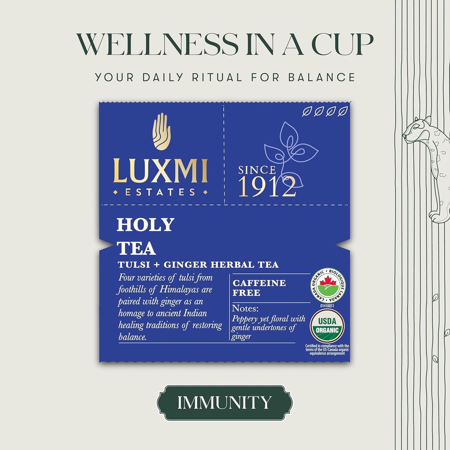 Luxmi Estates - Holy Basil - Organic Tulsi Tea - Loose Leaf - 50g (25 Cups) | With Tulsi and Ginger | Provides Immune Support, Stress Relief and Uplifts Mood