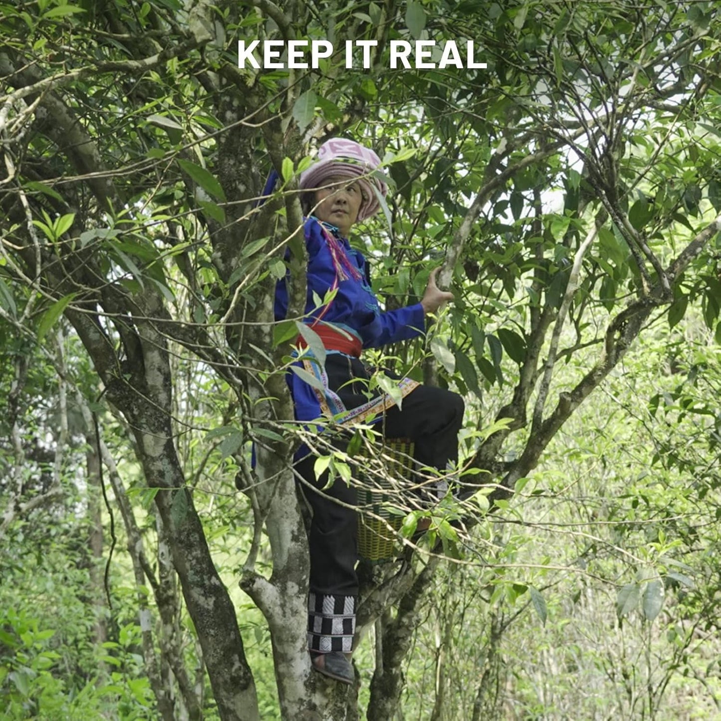 iTeaworld 8 Flavors Sampler Set, Up to 112 cups, High to Low Caffeine, Whole leaves, Loose Leaf Classic Chinese tea, Including Oolong and Black Teas, 16 Sample Bags with 20 Empty Tea Bag, 2.1OZ