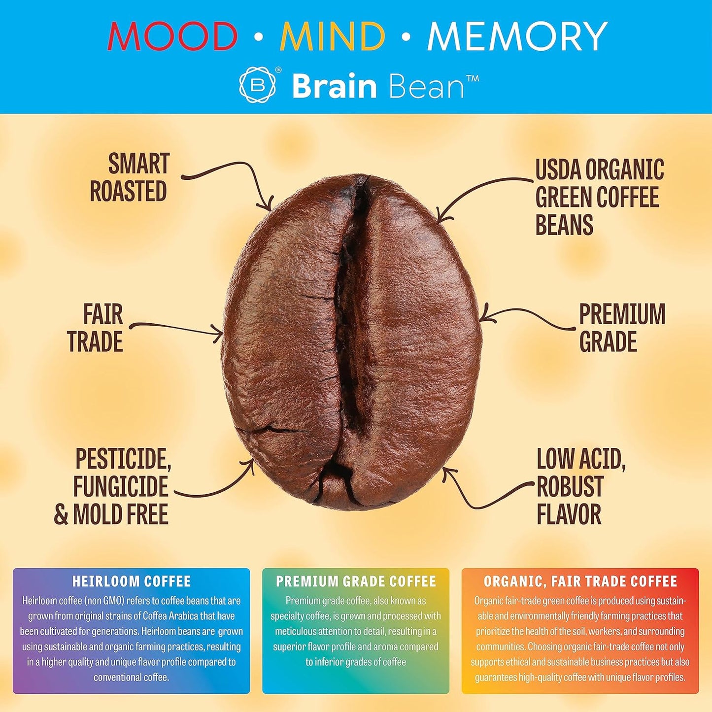 Brain Bean Organic Coffee – Smooth Taste & Rich Medium Roast – High Antioxidant & USDA certified organic for Cognitive Support, Mood Enhancement & Toxin Removal - Whole Bean Coffee – 16 oz (1-Pack)