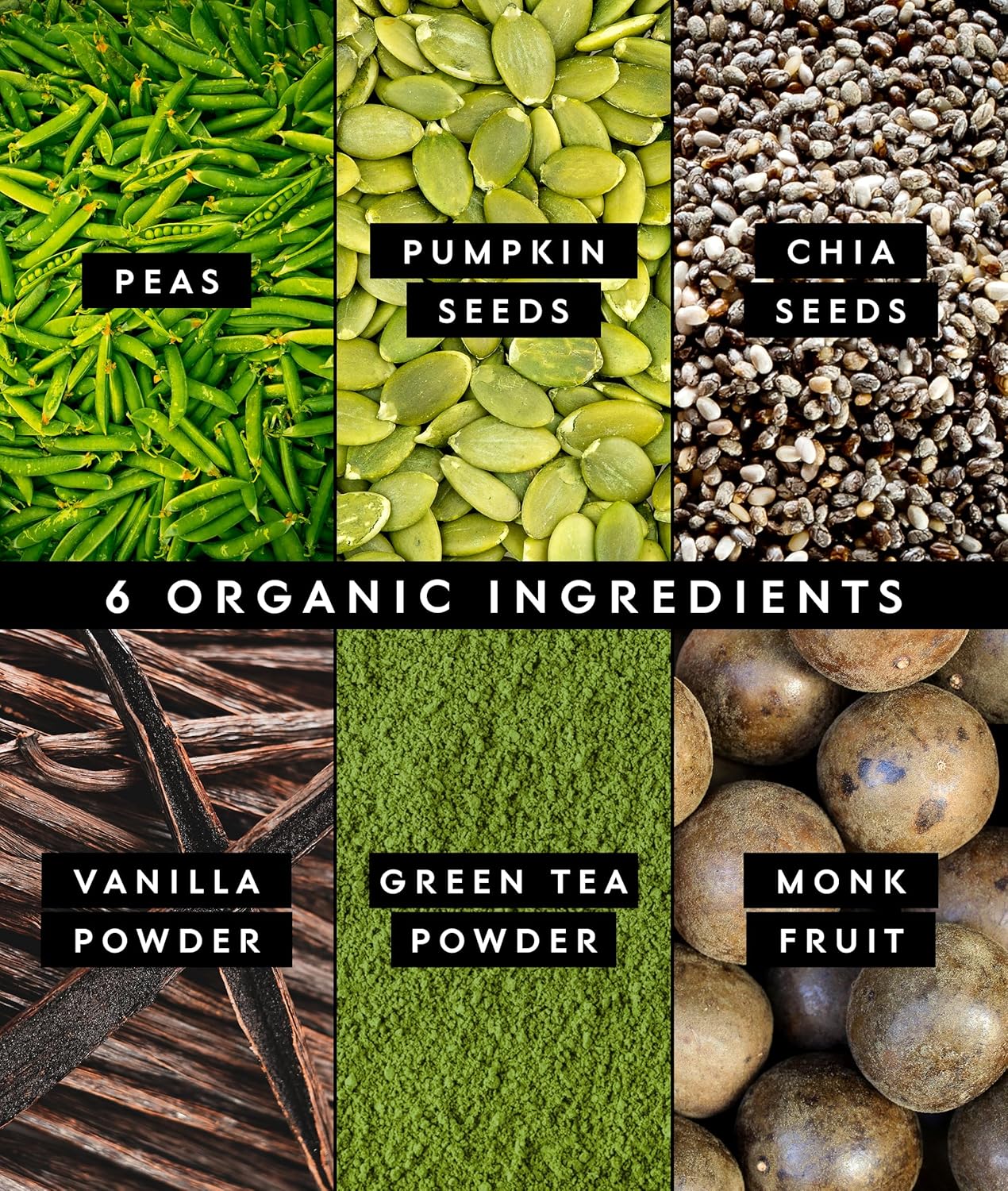 Truvani Vegan Pea Protein Powder | Matcha | 20g Organic Plant Based Protein | 10 Servings | Keto | Gluten & Dairy Free | Low Carb | No Added Sugar
