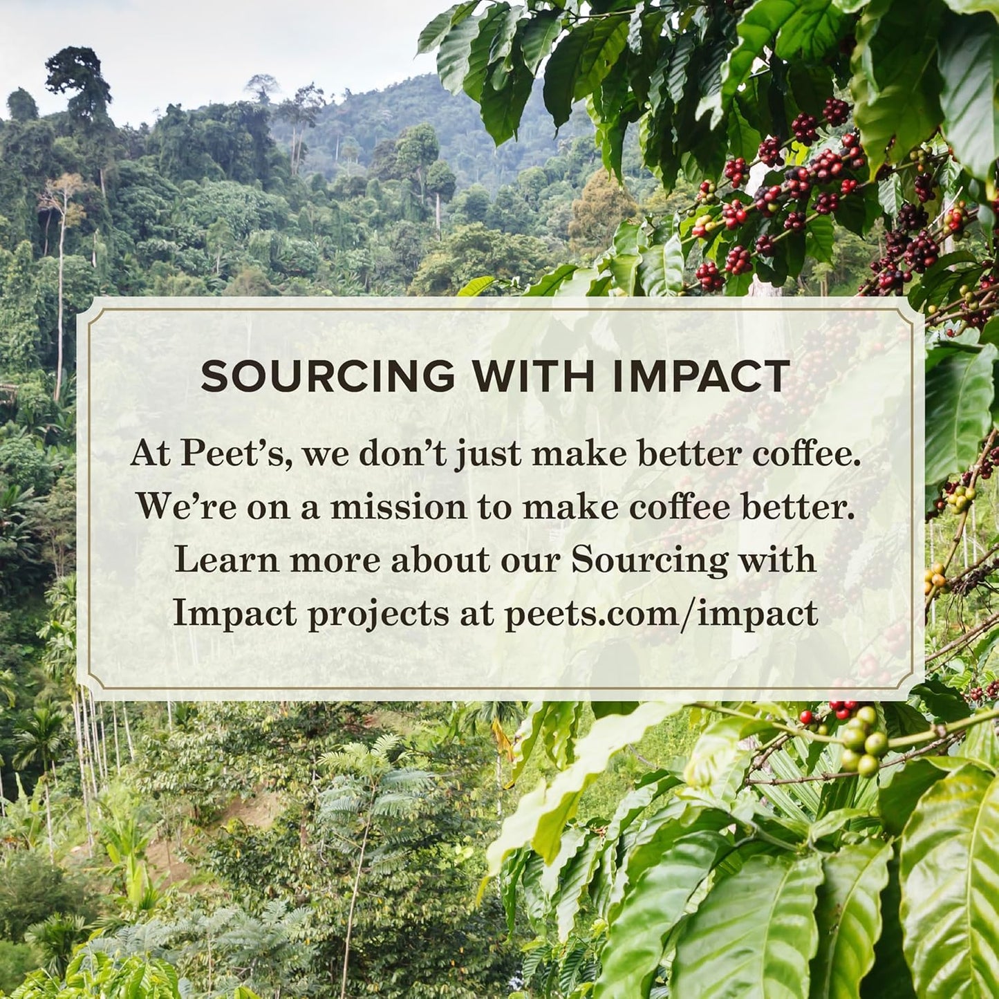 Peet's Coffee, Medium Roast Keurig K-Cup Pods - Café Domingo 32 Count (1 Box of 32 K-Cup Pods)
