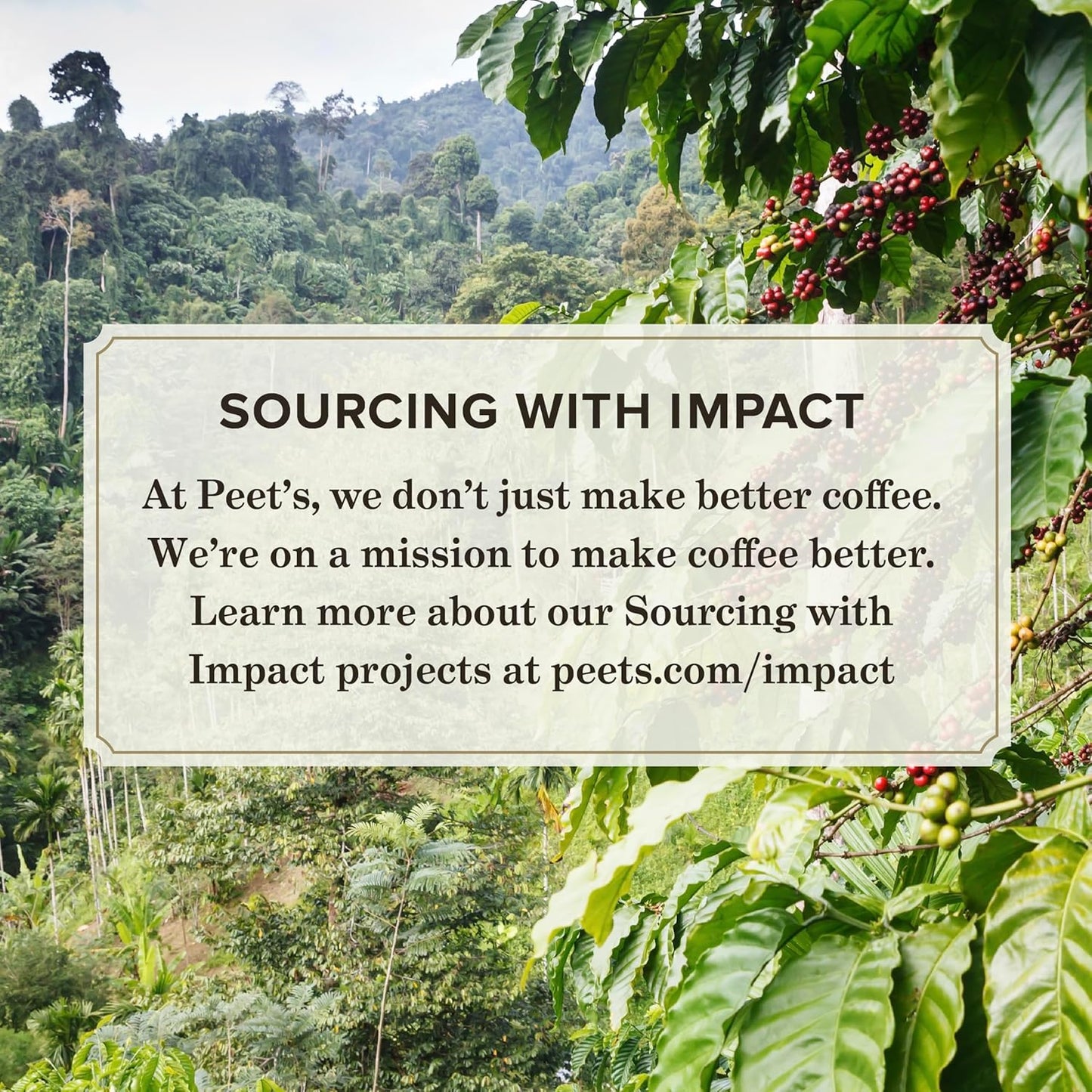 Peet's Coffee, Dark Roast Whole Bean Coffee - Espresso Forte 32 Ounce Bag