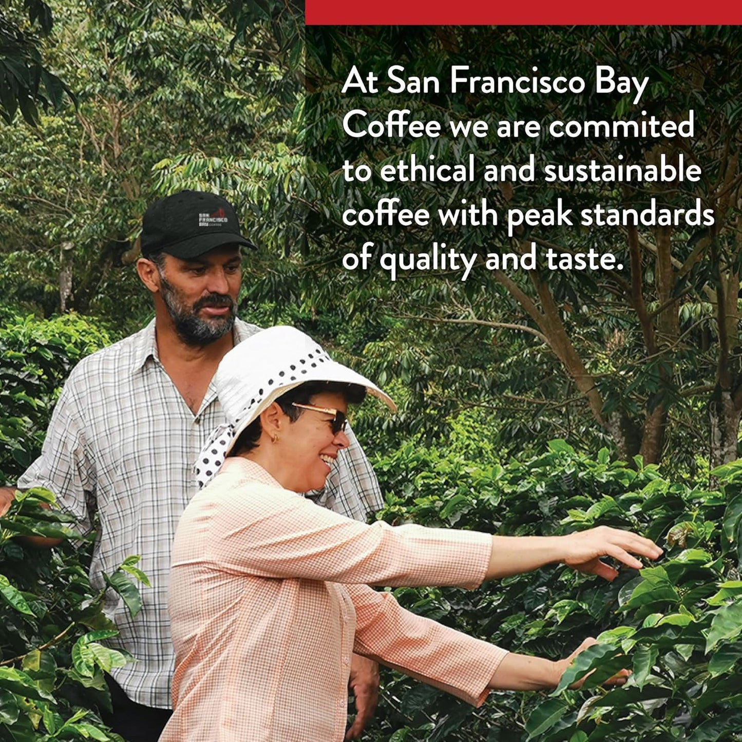 San Francisco Bay Compostable Coffee Pods - French Roast (12 Ct) K Cup Compatible including Keurig 2.0, Dark Roast