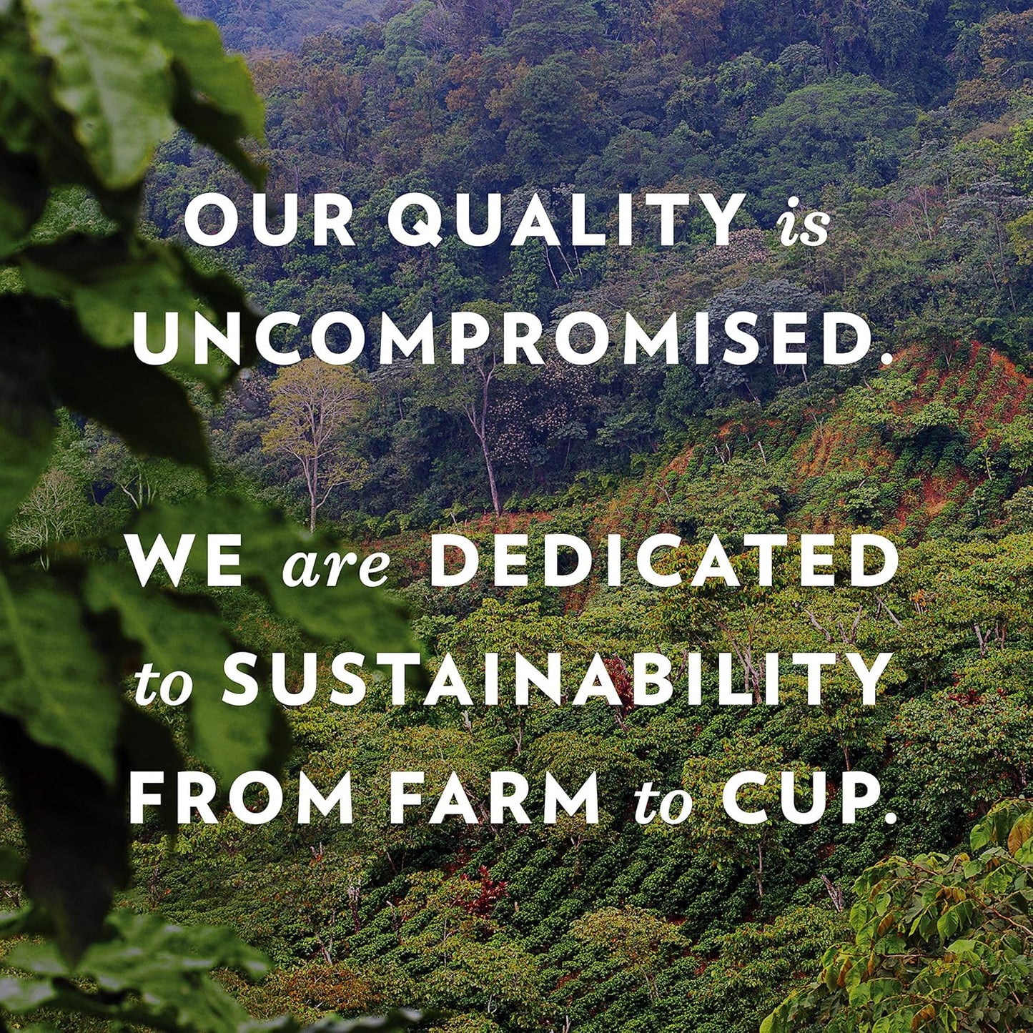 Community Coffee Dark & Bold Variety 48 Count Keurig K-Cup Coffee Pods, Extra Dark Roast, 48 Count (Pack of 1)